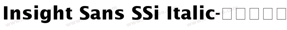 Insight Sans SSi Italic字体转换